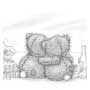 Teddy 1