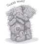 Teddy 1