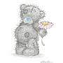 Teddy 1